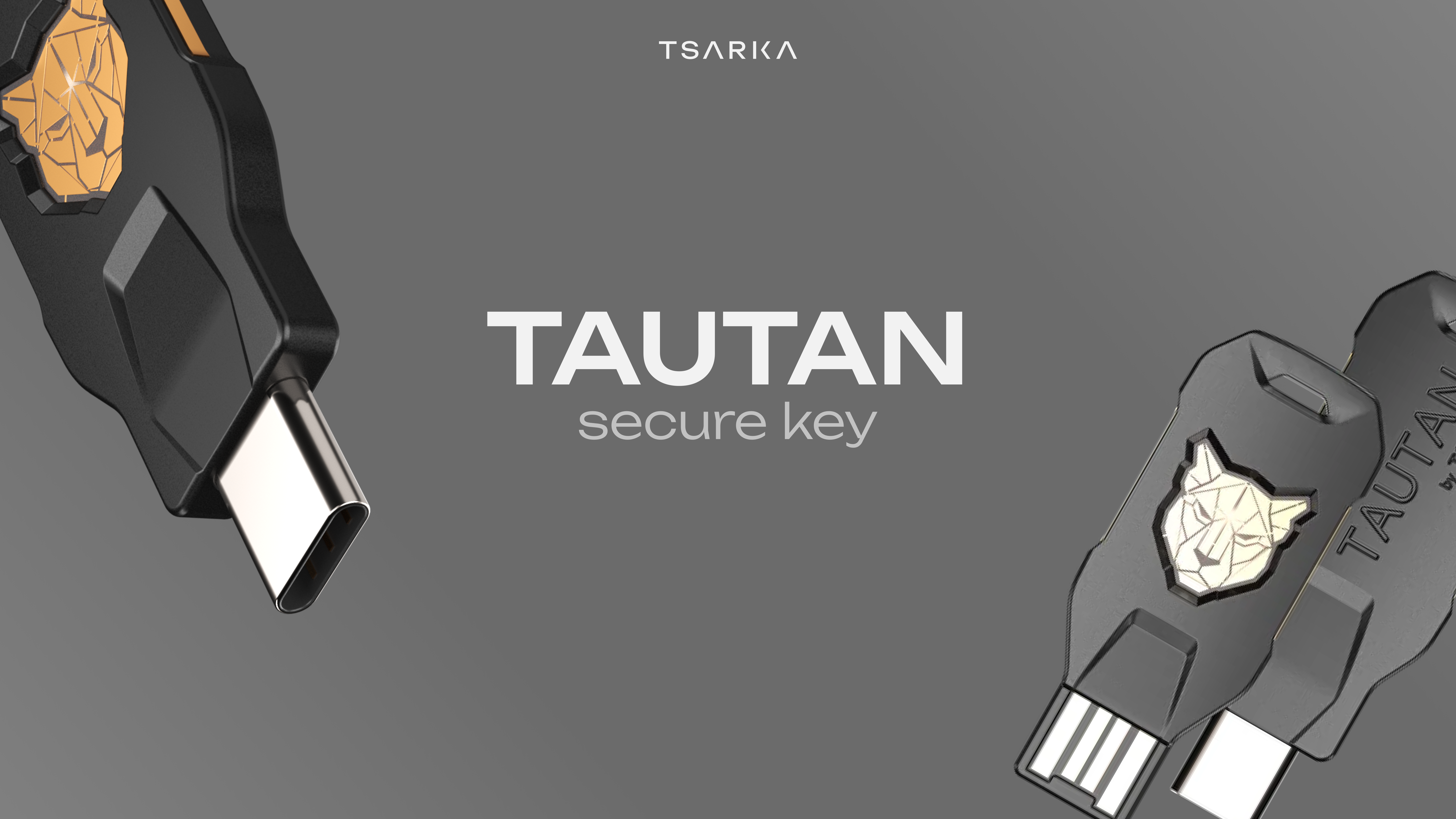 Tautan Secure Key — макро фотография ключа безопасности